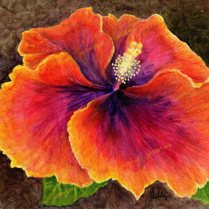 Hibiscus Watermark