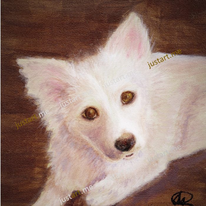 Custom Pet Portraits Available